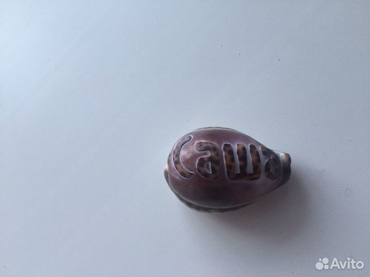 Именная ракушка Саша