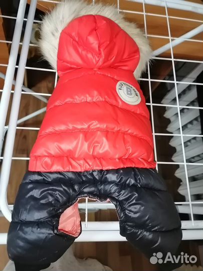 Одежда для маленьких собак