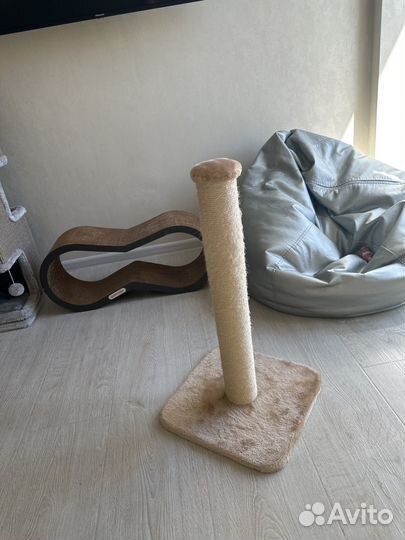 Когтеточка