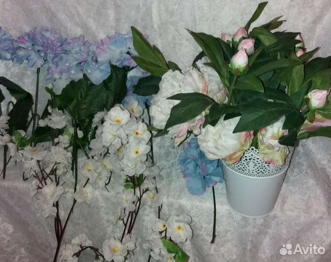 Цветы для интерьера