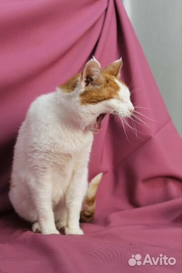 Просто богиня)