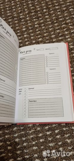 Синтонимы. Большой дневник