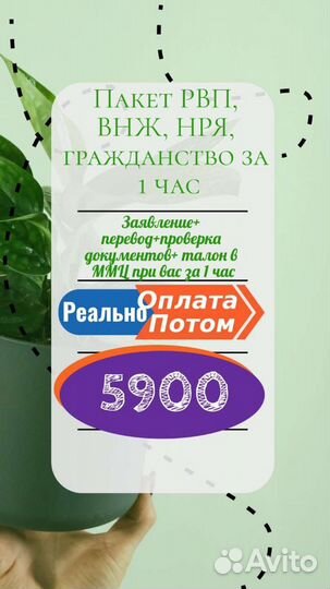 РВП ВНЖ паспорт рф. Без предоплаты