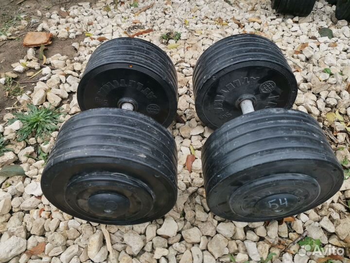 Спортивные гантели 54 кг