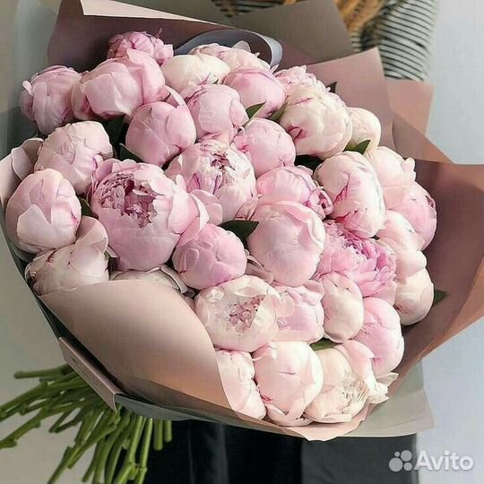 Пионы букет