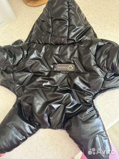 Одежда для собак