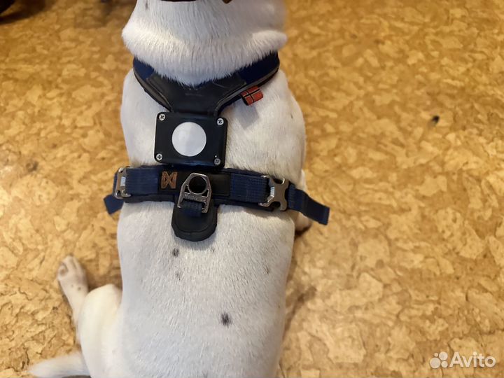 Крепление для трекера Apple AirTag на ошейник