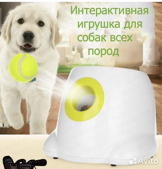 Автоматическая катапульта мячей для собак