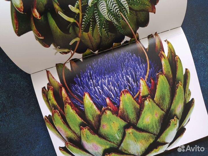 Книга Flora Magnifica