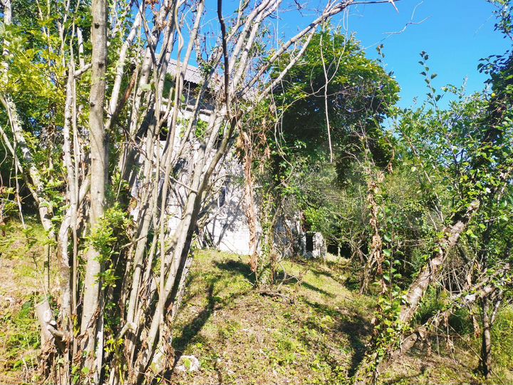 Участок 10 сот. (СНТ, ДНП)