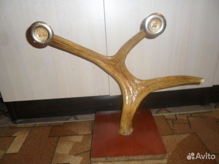 Продам рога лося