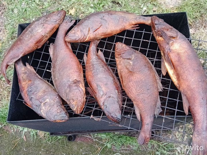 Рыба горячего копчения