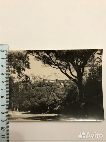 Фотокарточки с путешествий