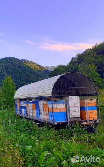 Прицеп пчеловоз, 2021