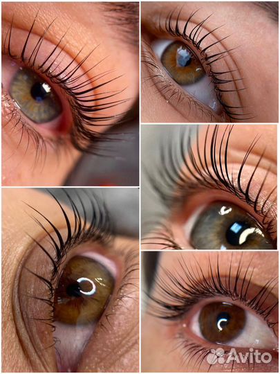 Ламинирование бровей и ресниц модель