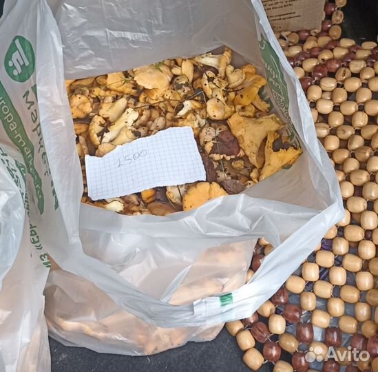 Продам грибы лисички