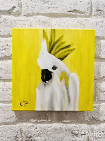 Картина Белый Попугай