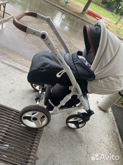 Коляска 2 в 1 adamex reggio