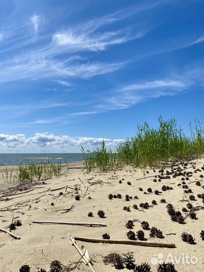 Индивидуальные экскурсиипо Куршской косе