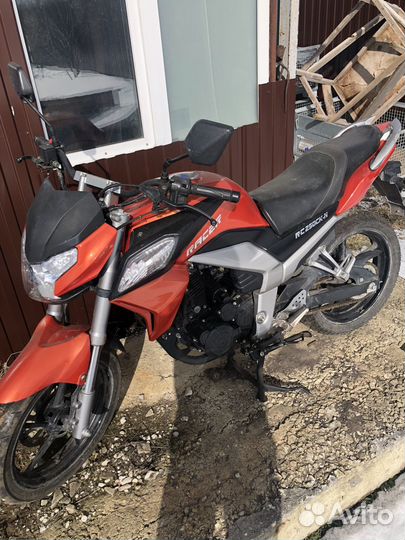 Racer RC250CK-N