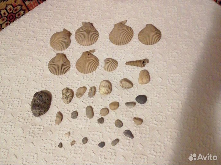 Ракушки и камушки для аквариума