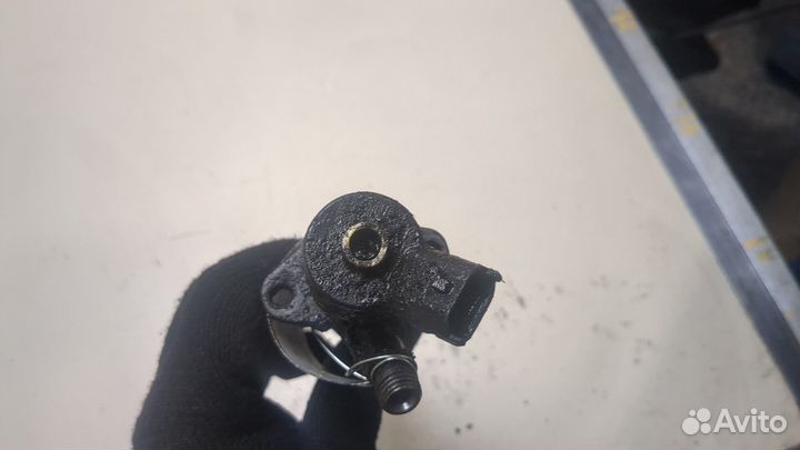 Форсунка топливная Land Rover Range Rover 3 (LM)