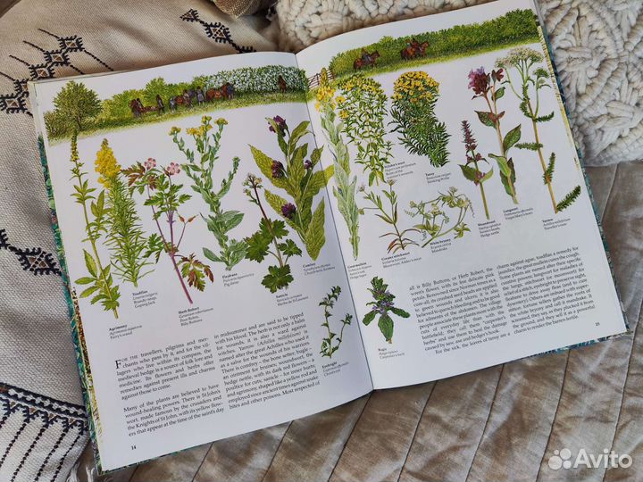 Винтажная книга о природе Англия