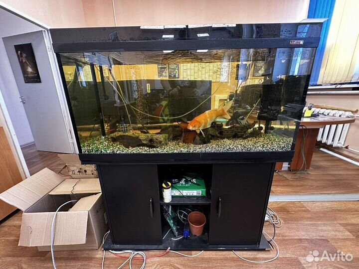 Аквариум классический. Объём 260 литров