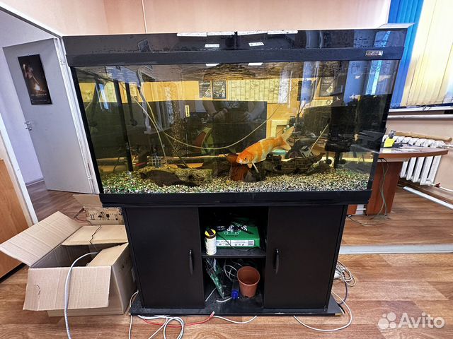Аквариум классический. Объём 260 литров