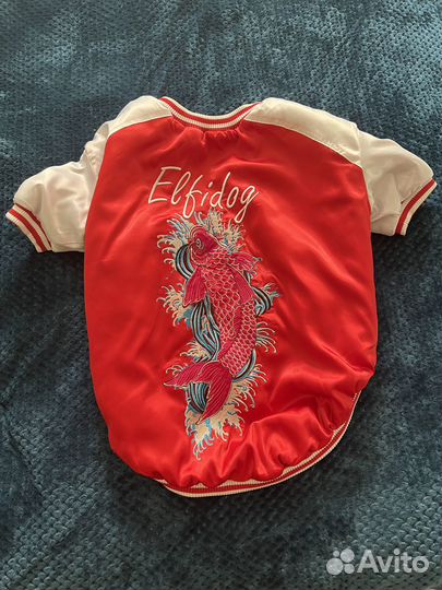 Одежда для собаки