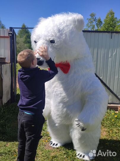 Поздравление от белого медведя