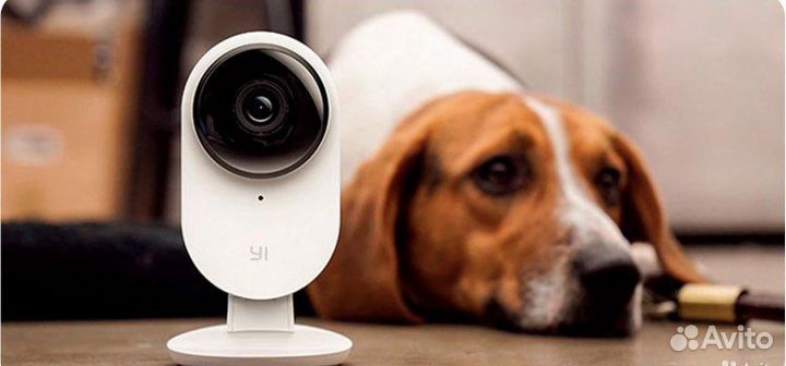 Камера видеонаблюдение