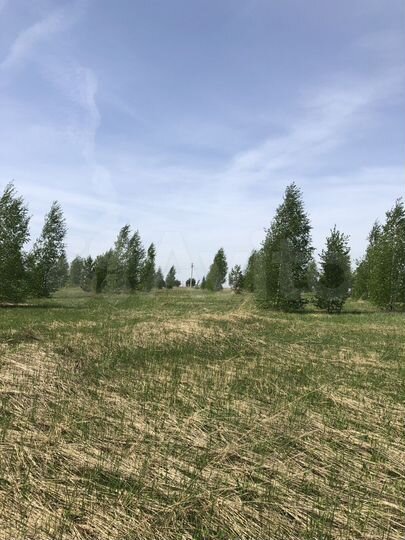 Участок 3,5 га (СНТ, ДНП)