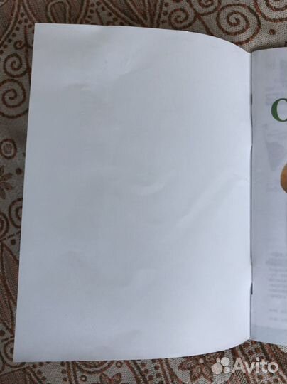 Рабочая тетрадь 2 класс окружающий мир Плешаков