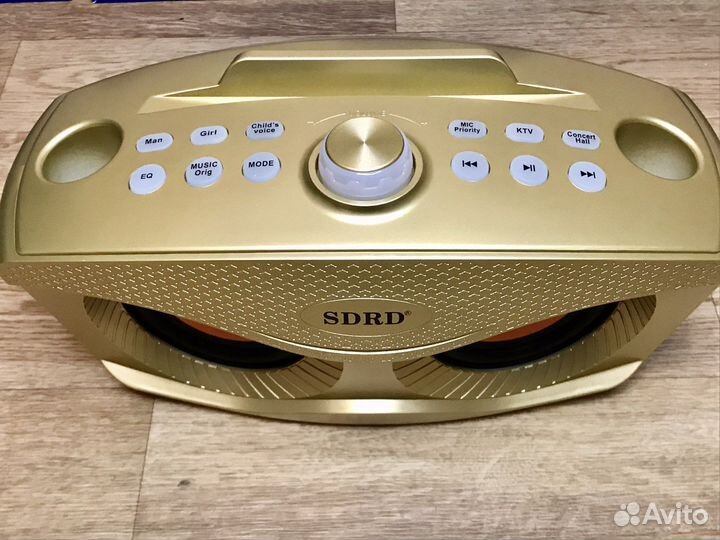 Караоке-система/sdrd/306 Plus/ 2 микрофона/Золотая