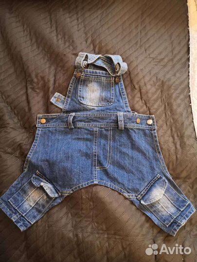 Комбинезоны для собачки