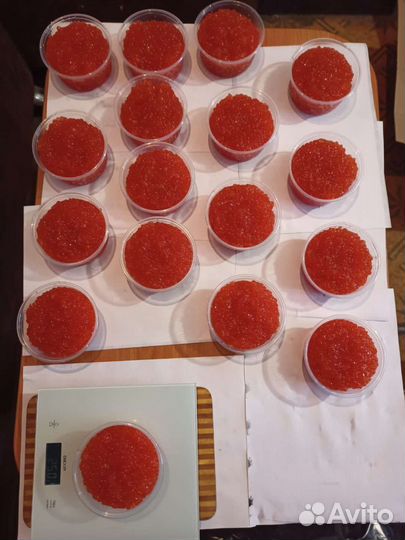 Красная икра 2023 горбуша