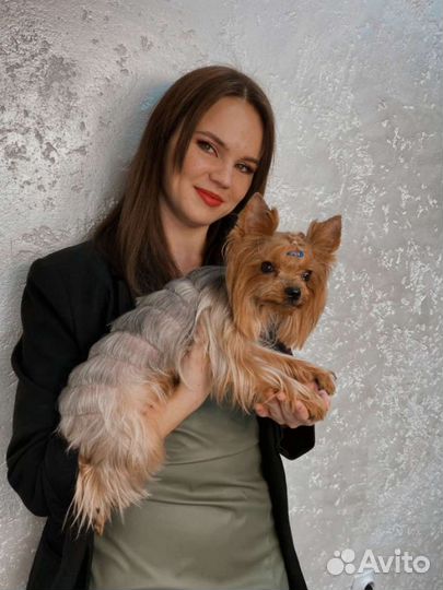 Стрижка/вычес собак и кошек