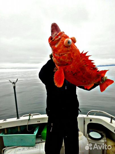 Морские прогулки