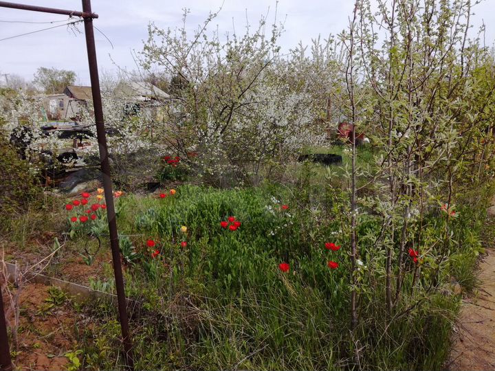 Дача 20 м² на участке 5,8 сот.