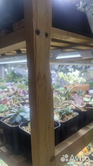 Стеллаж для растений