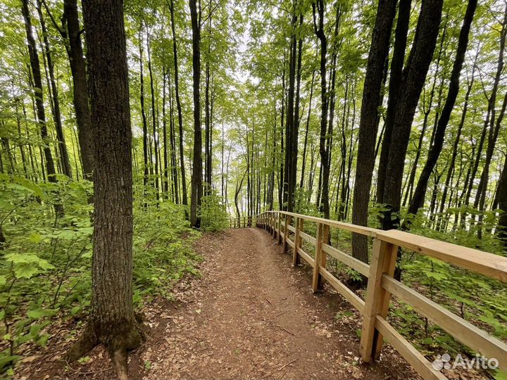 Экскурсия — Казань — По живописным местам Татарста