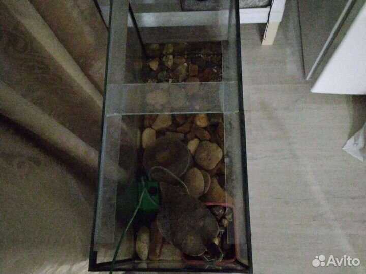 Аквариум 110 литров, 30 литров и т. д