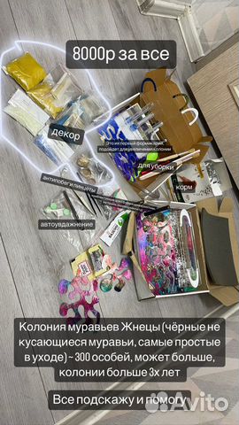 Муравьиная ферма с муравьями + все что нужно