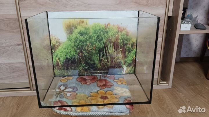 Аквариум