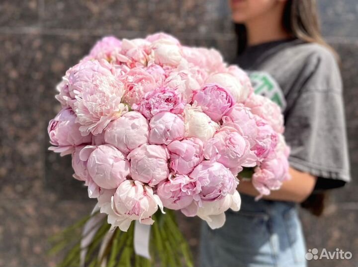 Пионы с гарнтией и доставкой