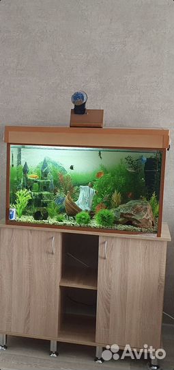Аквариум с тумбой