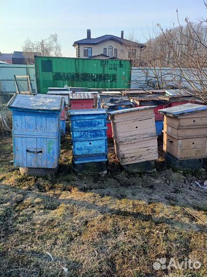 Улей для пчел бу
