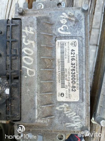 Мозги на газель