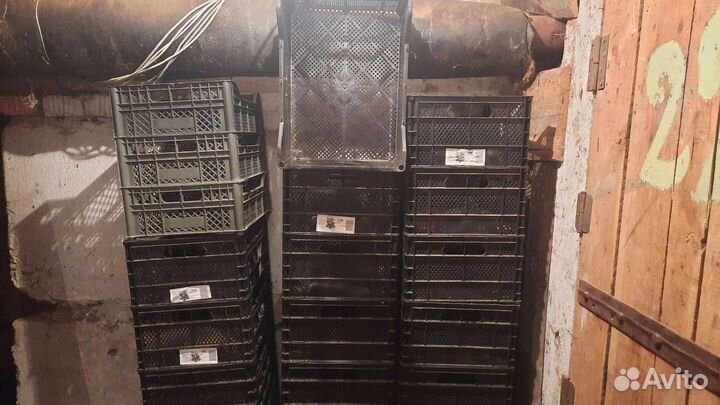 Пластиковые ящики